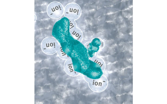 Lilie Frischwasserschutz Certec 3in1 3 Lilie Frischwasserschutz Certec 3in1 – Bild 3