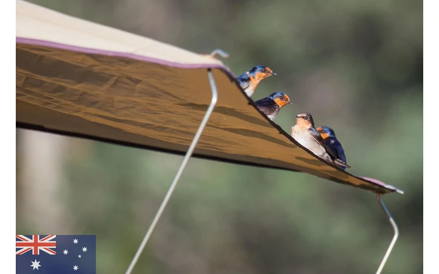 Gordigear Dachzelt Plus Für 3 Personen Mit Staufläche 165 X 320 Cm Grün 2 Gordigear Dachzelt Plus Für 3 Personen Mit Staufläche 165 X 320 Cm Grün – Bild 2